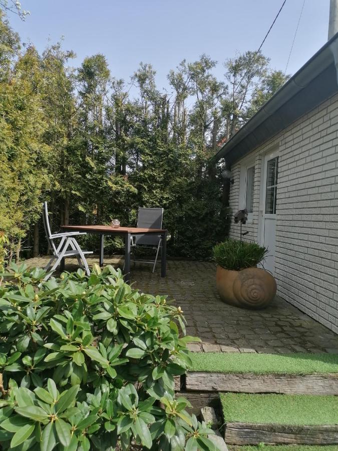 25Qm Grosses Ferienhaeuschen " Der Hengstall" Auf Unserem Reiterhof Birkenbeul Exteriör bild